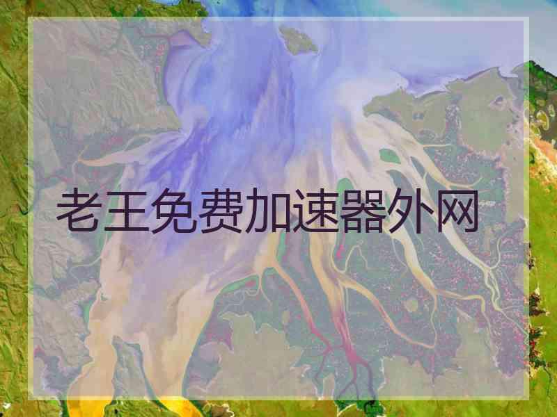 老王免费加速器外网