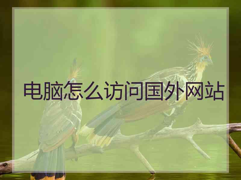 电脑怎么访问国外网站