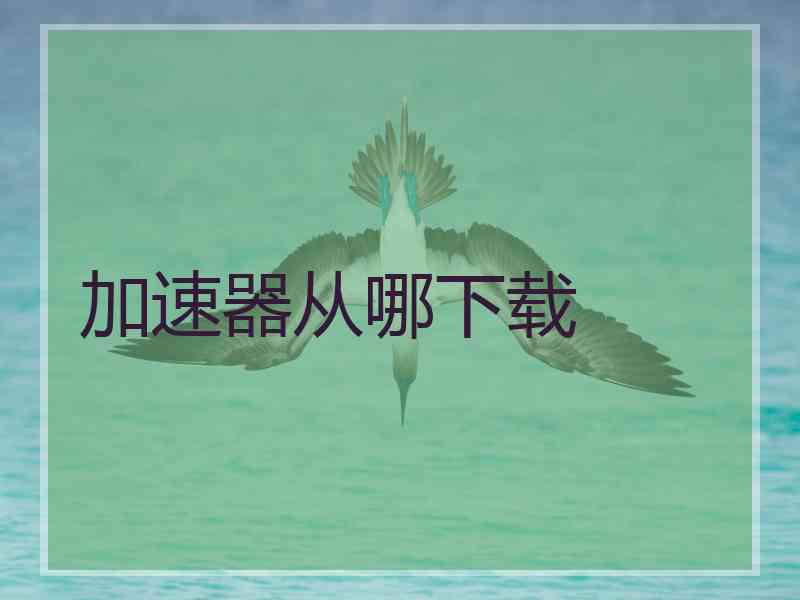 加速器从哪下载