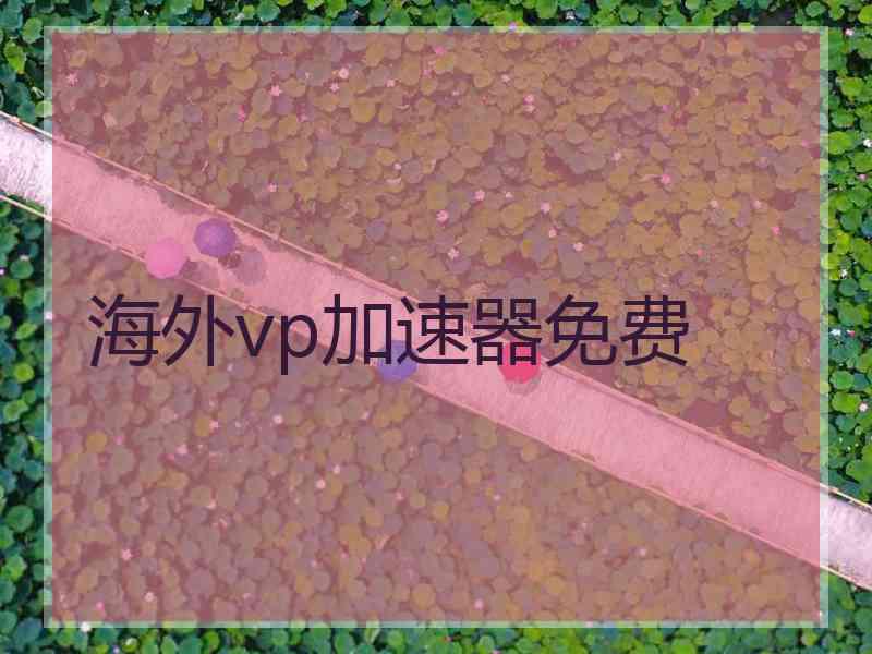 海外vp加速器免费