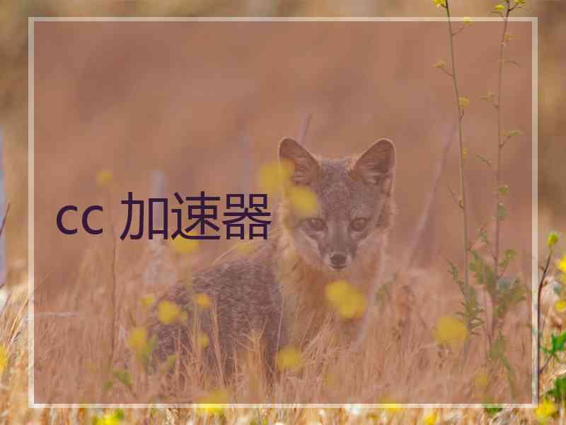 cc 加速器
