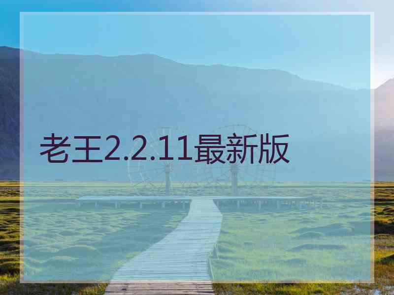老王2.2.11最新版
