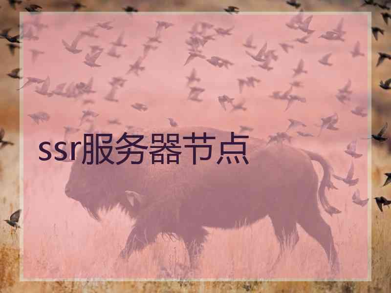 ssr服务器节点