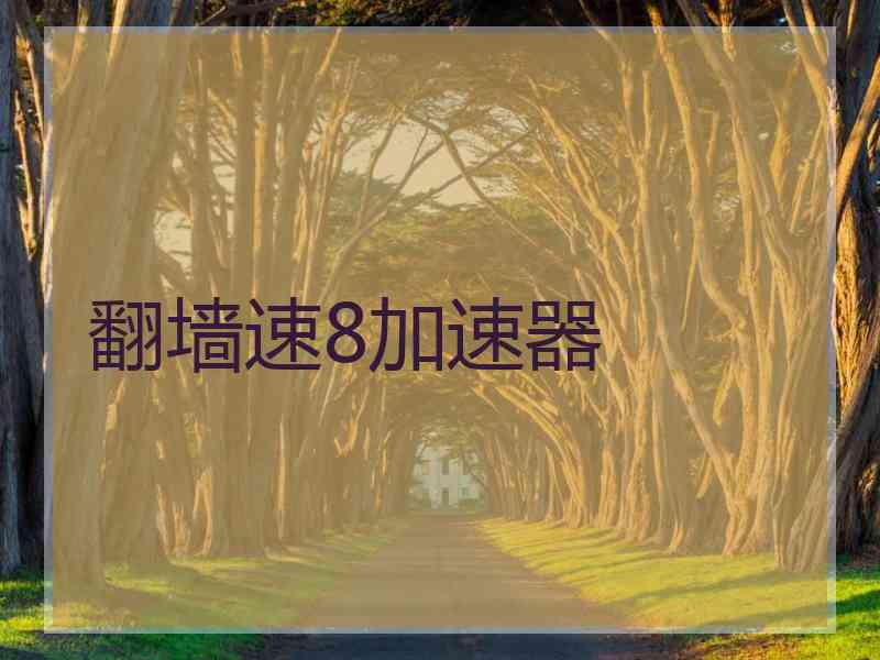 翻墙速8加速器