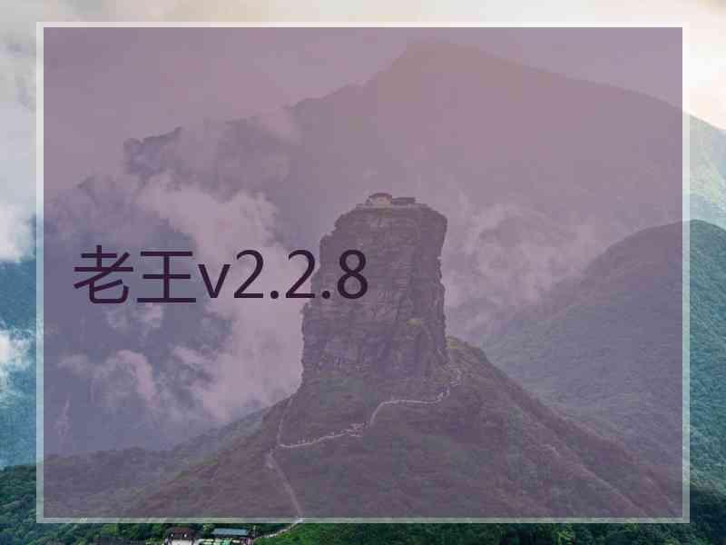 老王v2.2.8