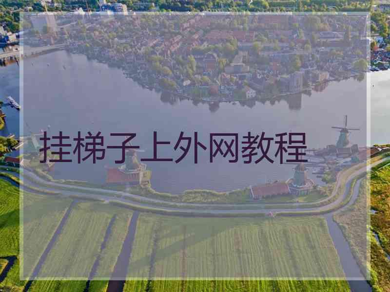 挂梯子上外网教程
