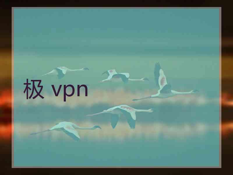 极 vpn