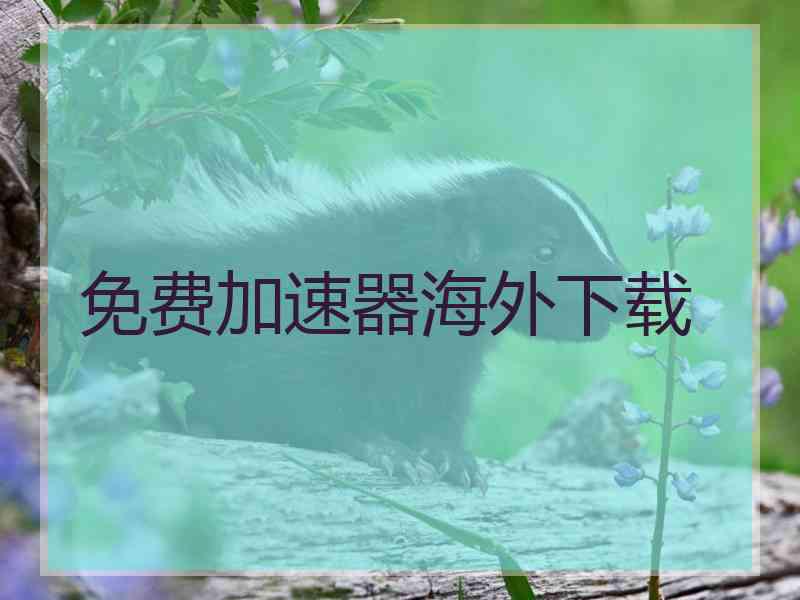 免费加速器海外下载