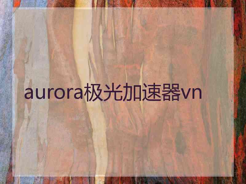 aurora极光加速器vn