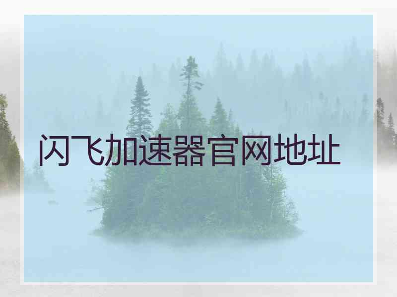 闪飞加速器官网地址