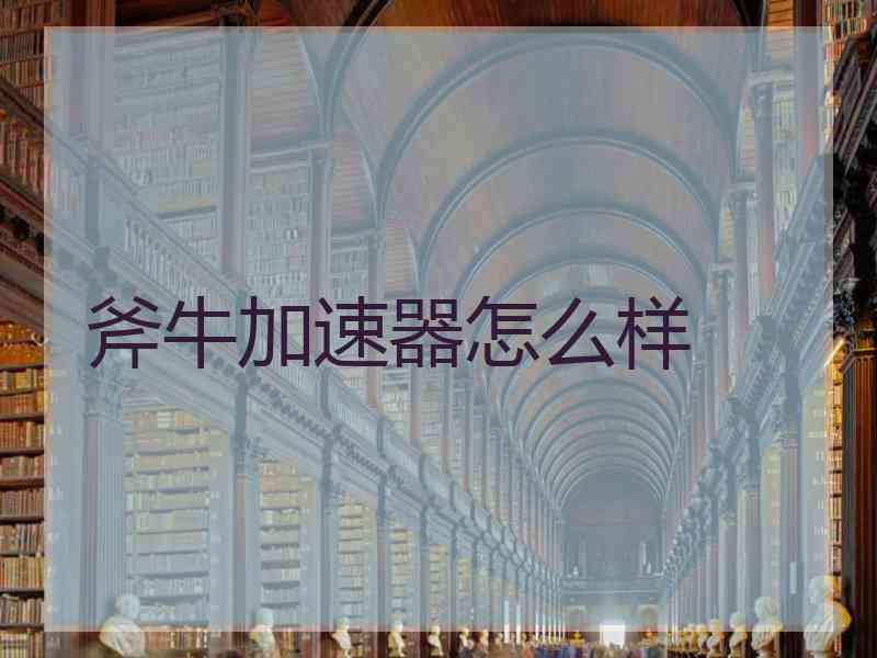 斧牛加速器怎么样