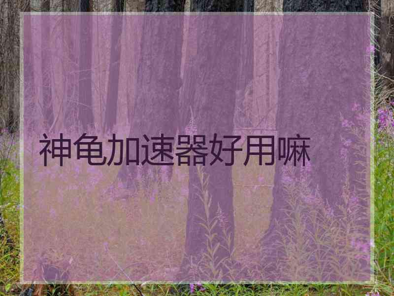 神龟加速器好用嘛