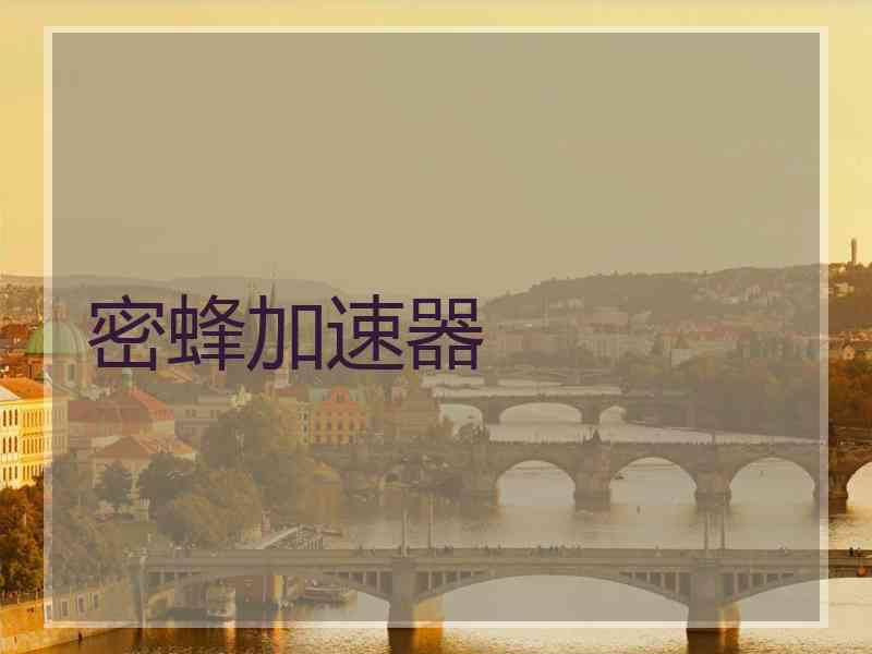 密蜂加速器