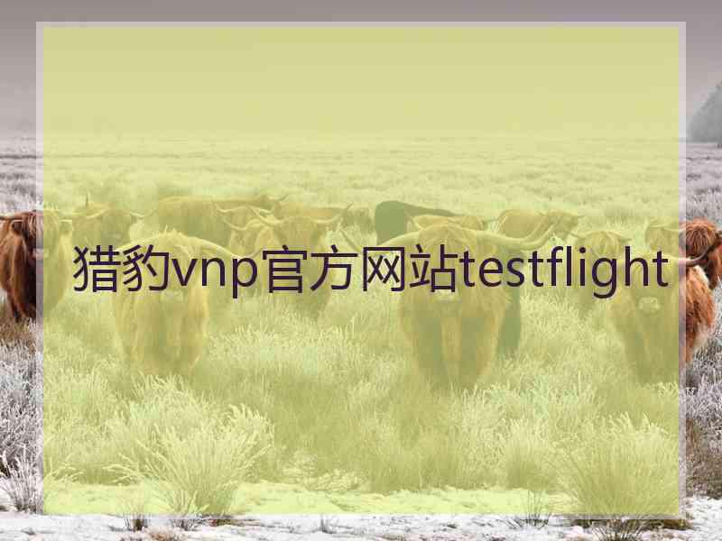 猎豹vnp官方网站testflight