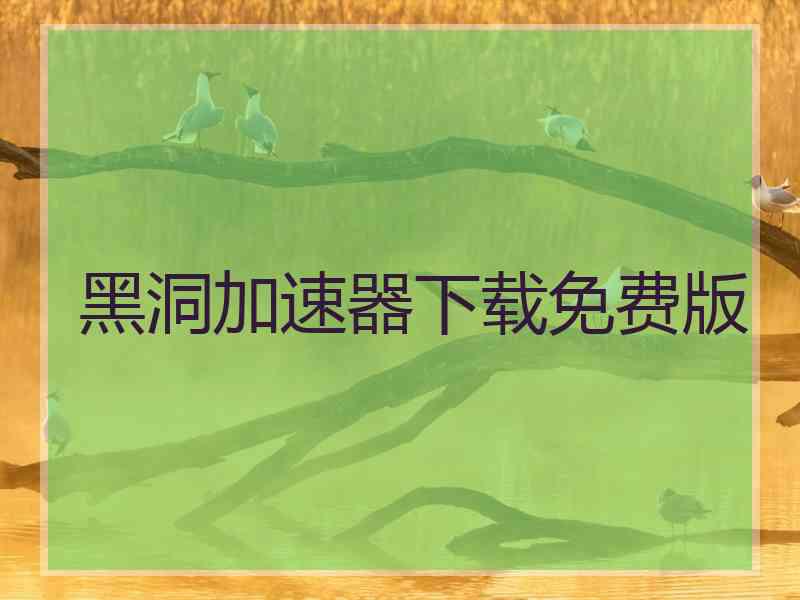黑洞加速器下载免费版