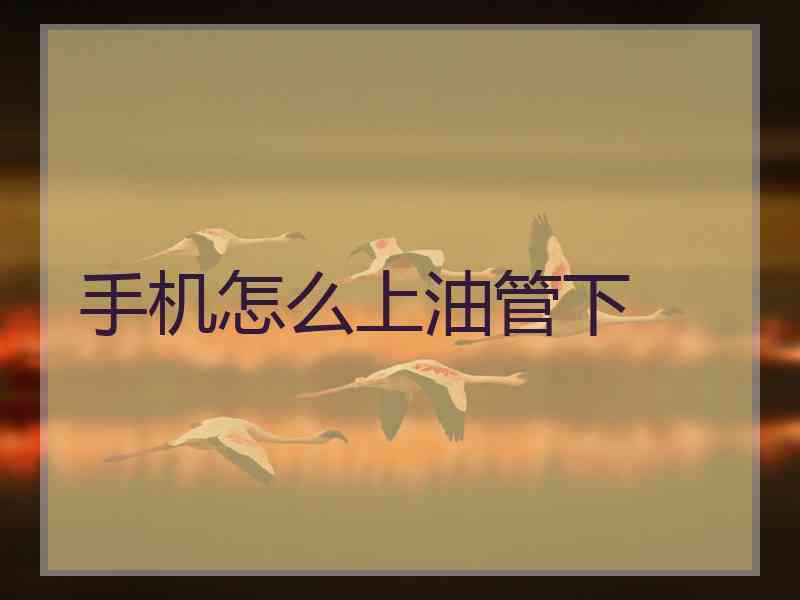 手机怎么上油管下