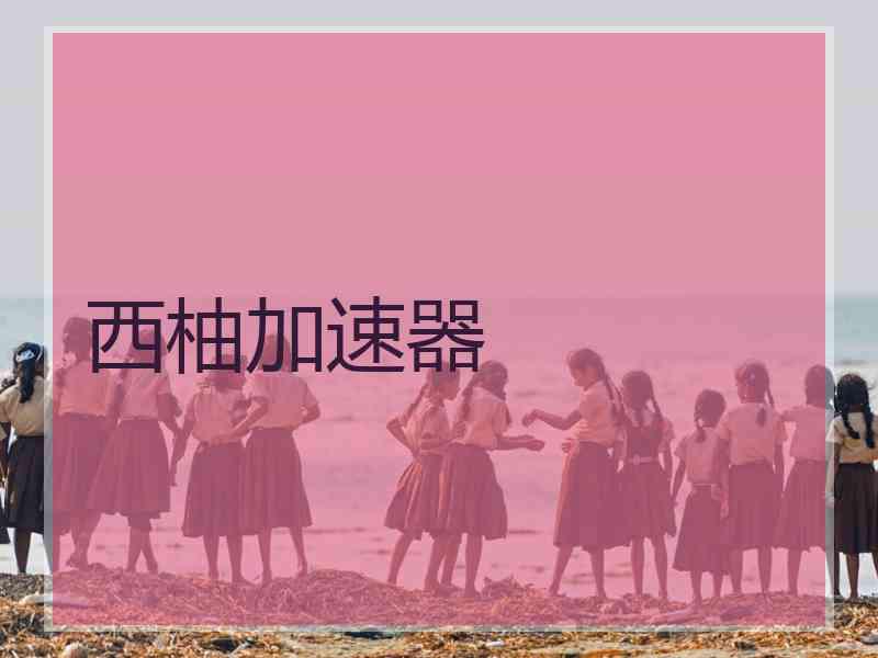 西柚加速器