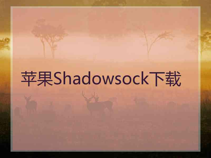 苹果Shadowsock下载