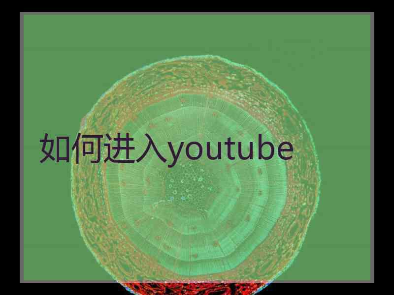 如何进入youtube