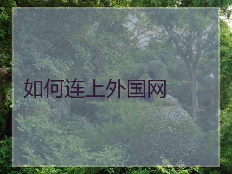 如何连上外国网