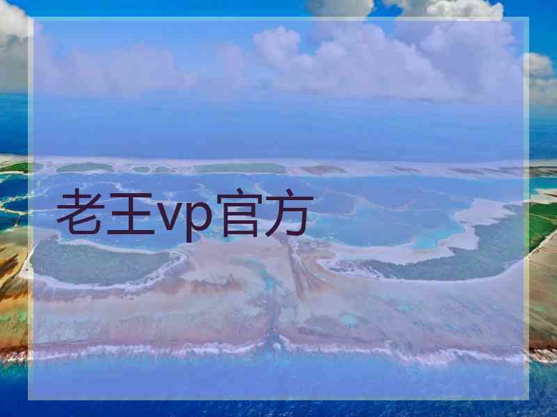 老王vp官方