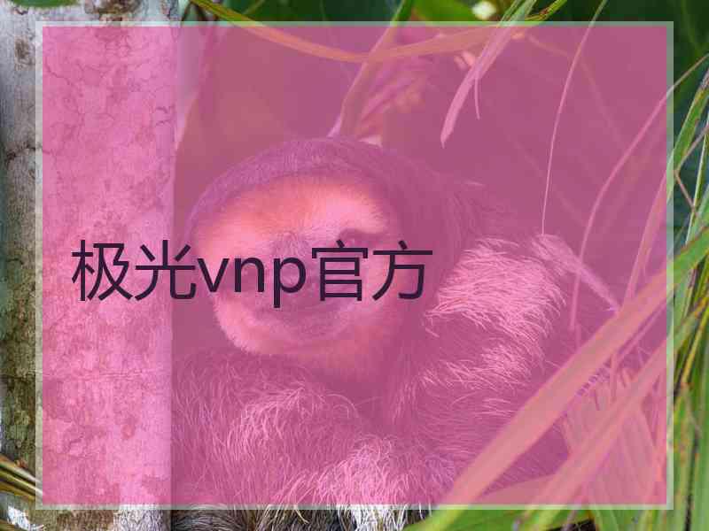 极光vnp官方