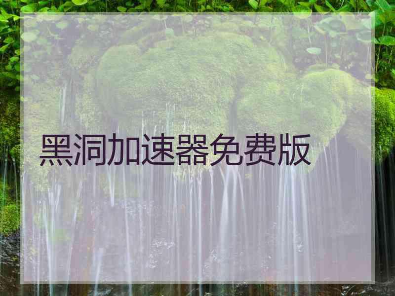 黑洞加速器免费版