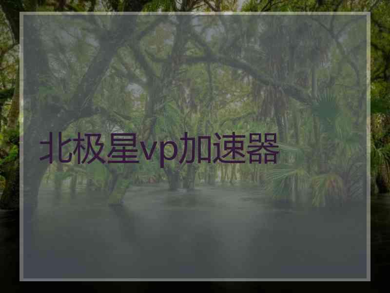 北极星vp加速器