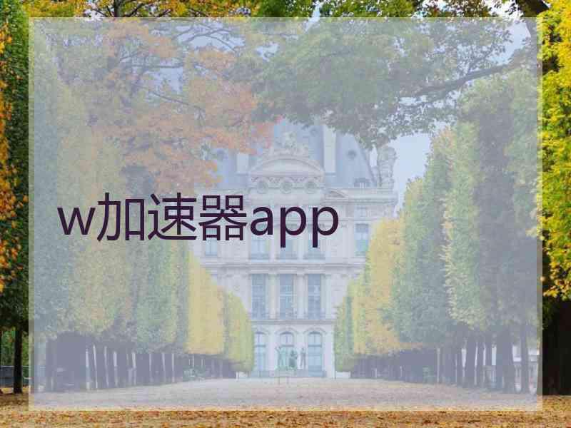 w加速器app