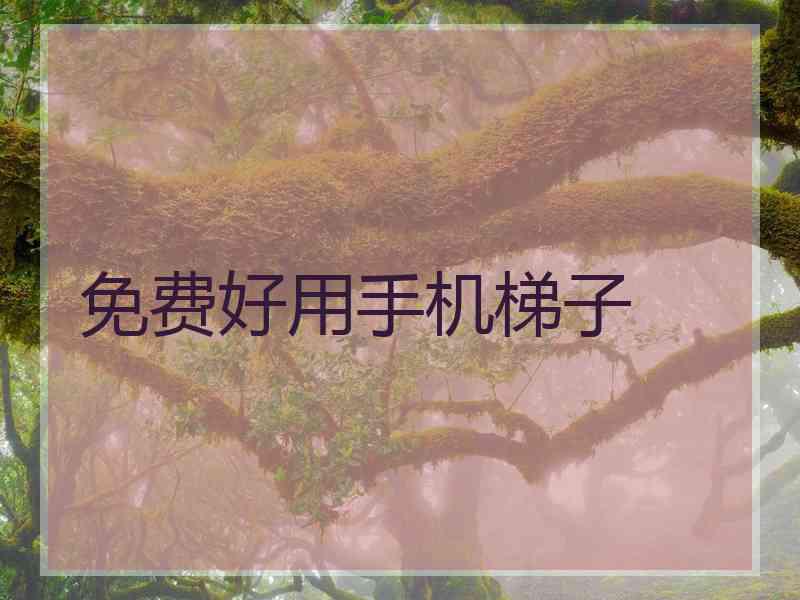 免费好用手机梯子