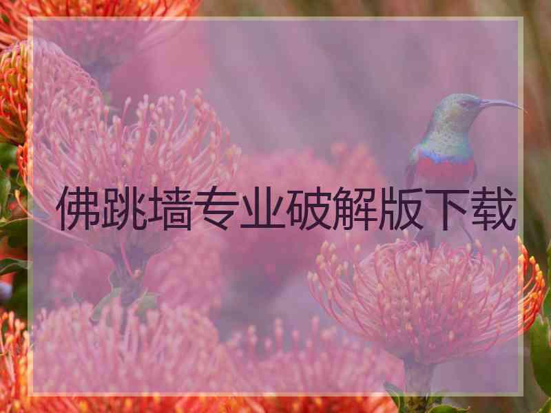 佛跳墙专业破解版下载