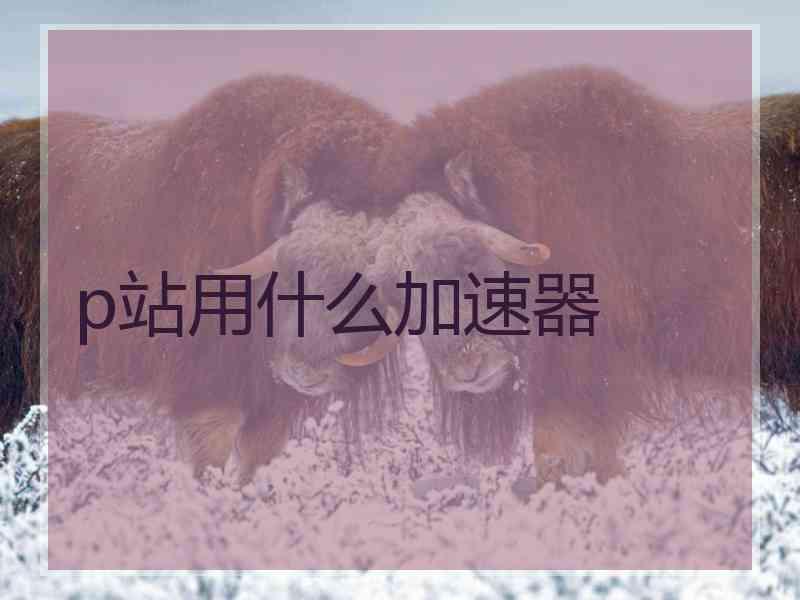 p站用什么加速器