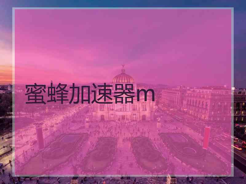 蜜蜂加速器m