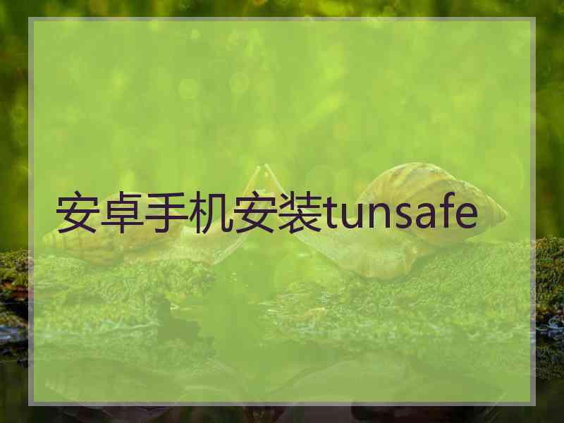 安卓手机安装tunsafe