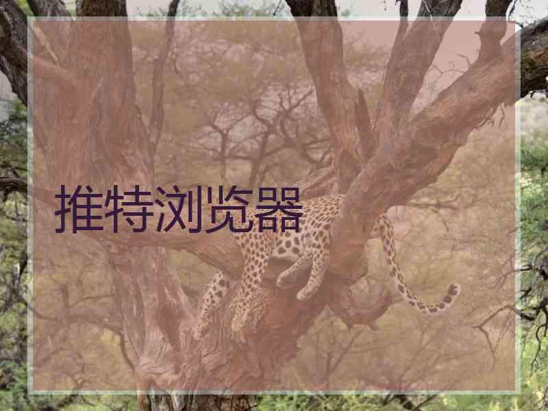 推特浏览器