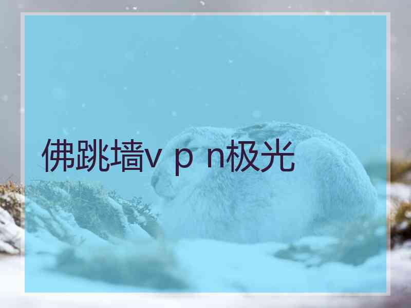 佛跳墙v p n极光