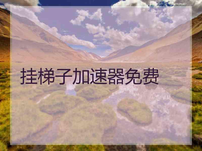 挂梯子加速器免费