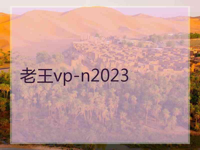 老王vp-n2023