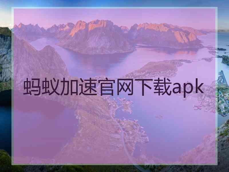 蚂蚁加速官网下载apk