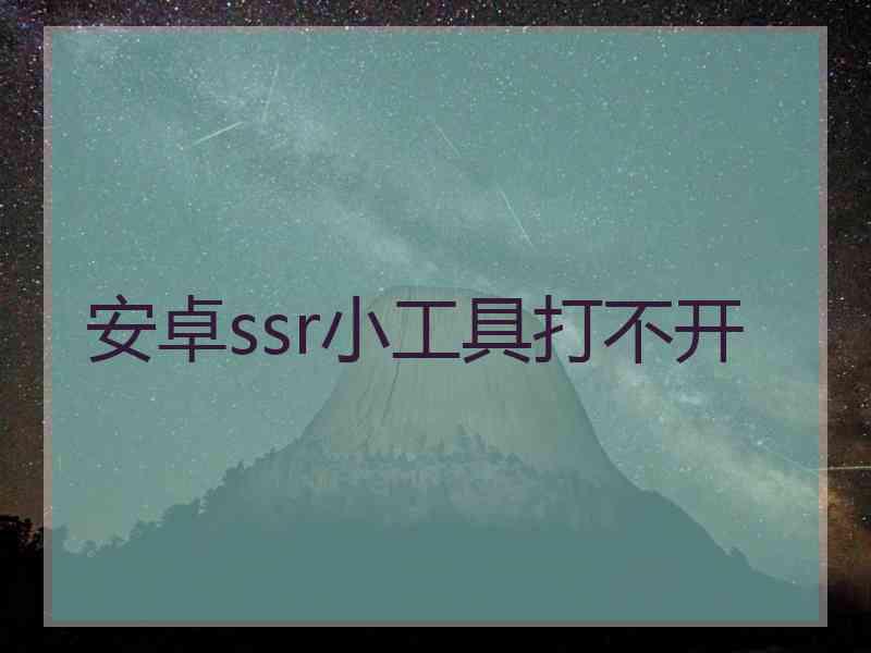 安卓ssr小工具打不开