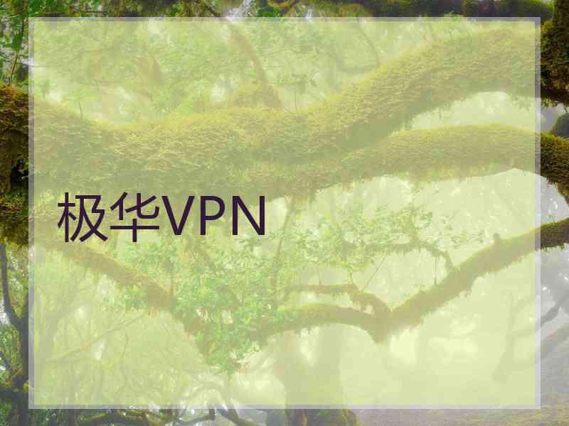 极华VPN