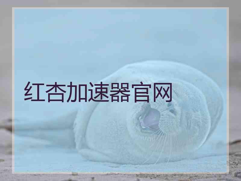 红杏加速器官网