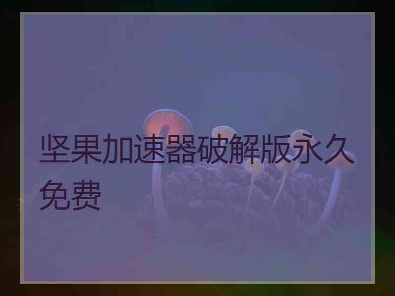 坚果加速器破解版永久免费