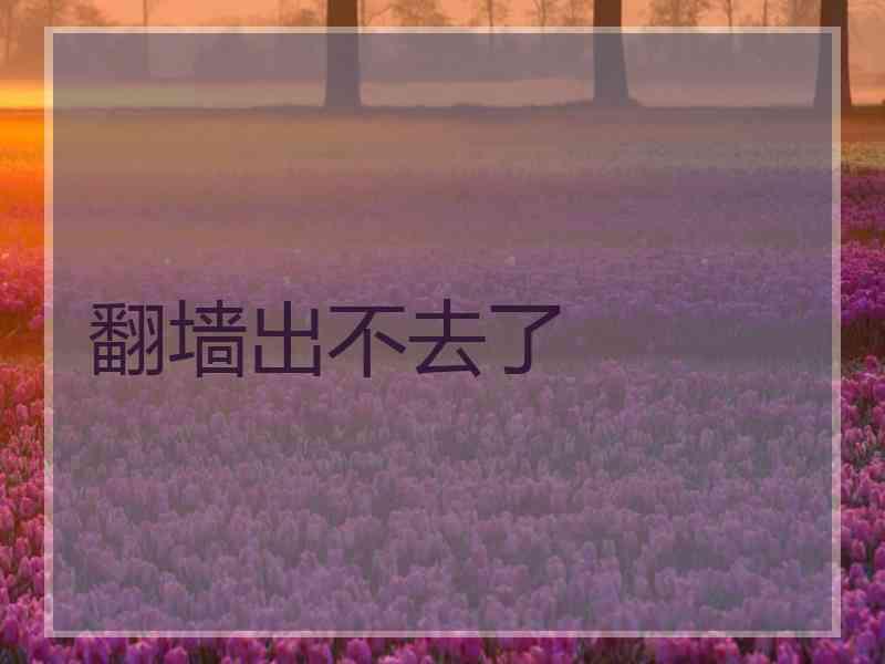 翻墙出不去了