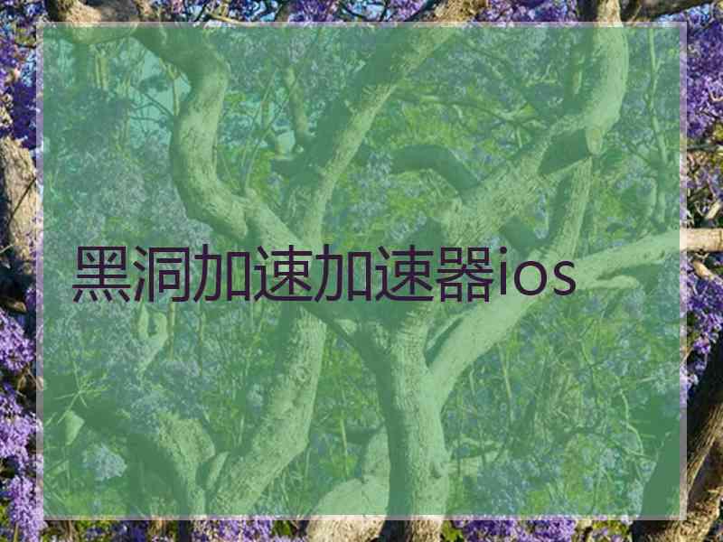黑洞加速加速器ios