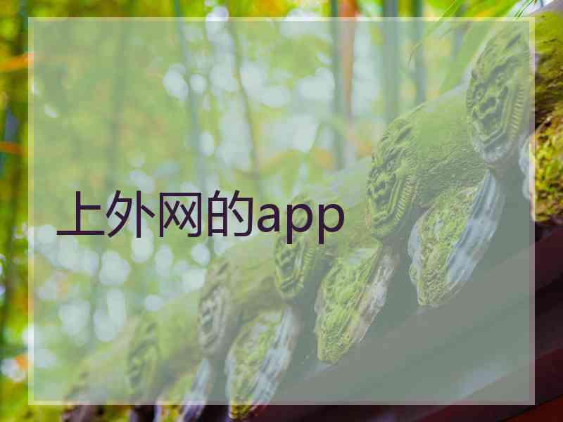 上外网的app