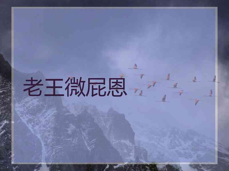 老王微屁恩