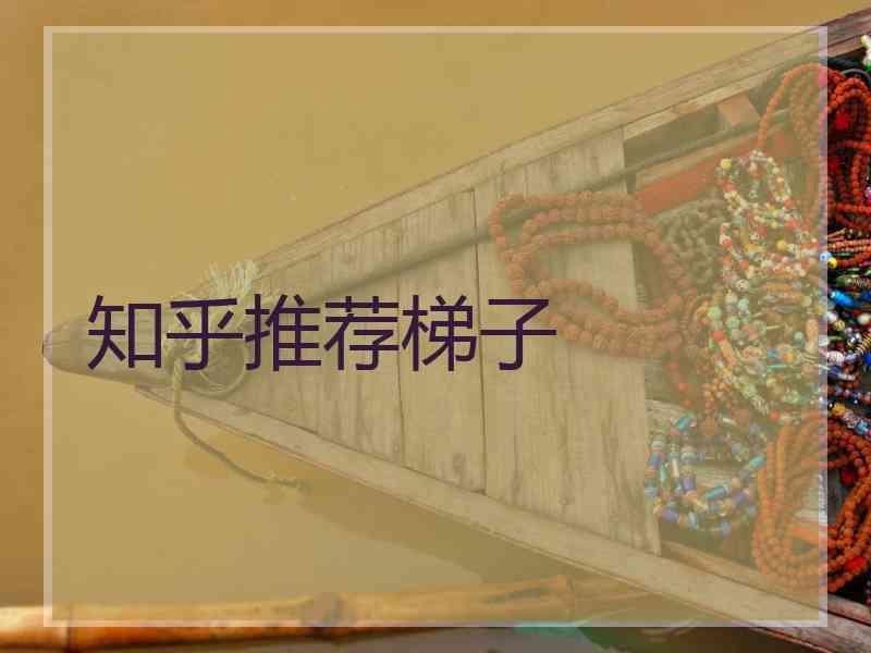 知乎推荐梯子