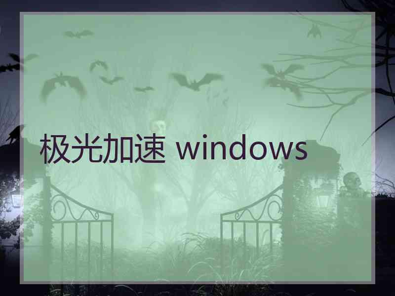 极光加速 windows