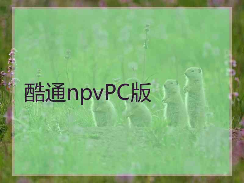 酷通npvPC版